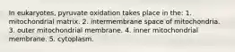 In eukaryotes, pyruvate oxidation takes place in the: 1. mitochondrial matrix. 2. intermembrane space of mitochondria. 3. outer mitochondrial membrane. 4. inner mitochondrial membrane. 5. cytoplasm.