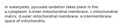 In eukaryotes, pyruvate oxidation takes place in the: a.cytoplasm. b.inner mitochondrial membrane. c.mitochondrial matrix. d.outer mitochondrial membrane. e.intermembrane space of mitochondria.