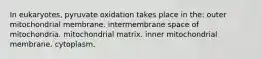 In eukaryotes, pyruvate oxidation takes place in the: outer mitochondrial membrane. intermembrane space of mitochondria. mitochondrial matrix. inner mitochondrial membrane. cytoplasm.