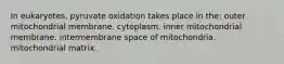 In eukaryotes, pyruvate oxidation takes place in the: outer mitochondrial membrane. cytoplasm. inner mitochondrial membrane. intermembrane space of mitochondria. mitochondrial matrix.