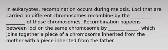 In eukaryotes, recombination occurs during meiosis. Loci that are carried on different chromosomes recombine by the _________ ________ of those chromosomes. Recombination happens between loci on the same chromosome by _______ _____, which joins together a piece of a chromosome inherited from the mother with a piece inherited from the father.