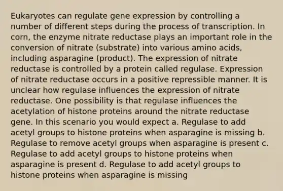 Eukaryotes can regulate gene expression by controlling a number of different steps during the process of transcription. In corn, the enzyme nitrate reductase plays an important role in the conversion of nitrate (substrate) into various amino acids, including asparagine (product). The expression of nitrate reductase is controlled by a protein called regulase. Expression of nitrate reductase occurs in a positive repressible manner. It is unclear how regulase influences the expression of nitrate reductase. One possibility is that regulase influences the acetylation of histone proteins around the nitrate reductase gene. In this scenario you would expect a. Regulase to add acetyl groups to histone proteins when asparagine is missing b. Regulase to remove acetyl groups when asparagine is present c. Regulase to add acetyl groups to histone proteins when asparagine is present d. Regulase to add acetyl groups to histone proteins when asparagine is missing