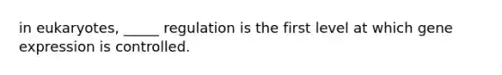 in eukaryotes, _____ regulation is the first level at which gene expression is controlled.