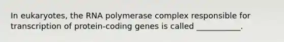 In eukaryotes, the RNA polymerase complex responsible for transcription of protein-coding genes is called ___________.