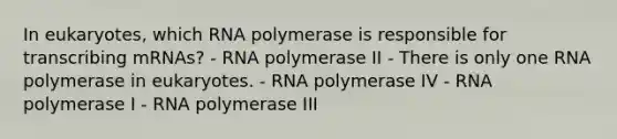 In eukaryotes, which RNA polymerase is responsible for transcribing mRNAs? - RNA polymerase II - There is only one RNA polymerase in eukaryotes. - RNA polymerase IV - RNA polymerase I - RNA polymerase III