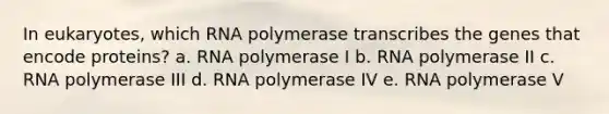 In eukaryotes, which RNA polymerase transcribes the genes that encode proteins? a. RNA polymerase I b. RNA polymerase II c. RNA polymerase III d. RNA polymerase IV e. RNA polymerase V