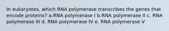 In eukaryotes, which RNA polymerase transcribes the genes that encode proteins? a.RNA polymerase I b.RNA polymerase II c. RNA polymerase III d. RNA polymerase IV e. RNA polymerase V