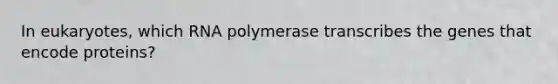 In eukaryotes, which RNA polymerase transcribes the genes that encode proteins?