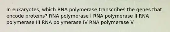 In eukaryotes, which RNA polymerase transcribes the genes that encode proteins? RNA polymerase I RNA polymerase II RNA polymerase III RNA polymerase IV RNA polymerase V