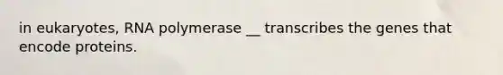 in eukaryotes, RNA polymerase __ transcribes the genes that encode proteins.