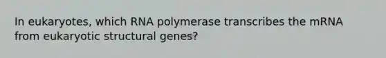 In eukaryotes, which RNA polymerase transcribes the mRNA from eukaryotic structural genes?