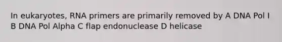 In eukaryotes, RNA primers are primarily removed by A DNA Pol I B DNA Pol Alpha C flap endonuclease D helicase