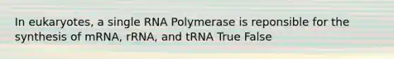 In eukaryotes, a single RNA Polymerase is reponsible for the synthesis of mRNA, rRNA, and tRNA True False