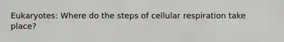 Eukaryotes: Where do the steps of cellular respiration take place?