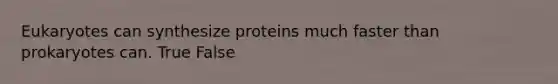 Eukaryotes can synthesize proteins much faster than prokaryotes can. True False