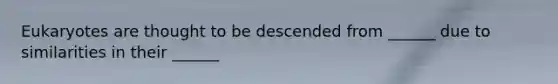 Eukaryotes are thought to be descended from ______ due to similarities in their ______