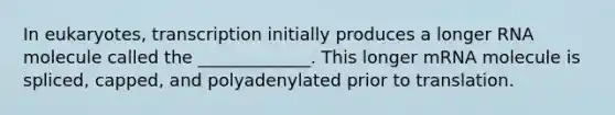 In eukaryotes, transcription initially produces a longer RNA molecule called the _____________. This longer mRNA molecule is spliced, capped, and polyadenylated prior to translation.