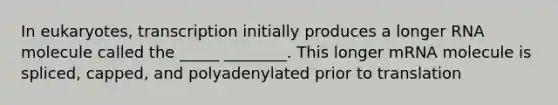 In eukaryotes, transcription initially produces a longer RNA molecule called the _____ ________. This longer mRNA molecule is spliced, capped, and polyadenylated prior to translation