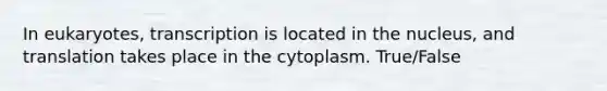 In eukaryotes, transcription is located in the nucleus, and translation takes place in the cytoplasm. True/False