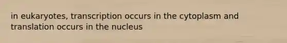 in eukaryotes, transcription occurs in the cytoplasm and translation occurs in the nucleus