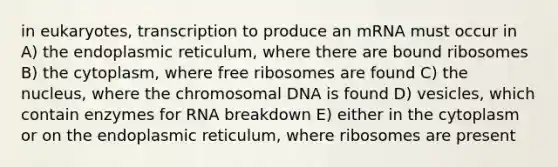 in eukaryotes, transcription to produce an mRNA must occur in A) the endoplasmic reticulum, where there are bound ribosomes B) the cytoplasm, where free ribosomes are found C) the nucleus, where the chromosomal DNA is found D) vesicles, which contain enzymes for RNA breakdown E) either in the cytoplasm or on the endoplasmic reticulum, where ribosomes are present