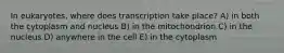 In eukaryotes, where does transcription take place? A) in both the cytoplasm and nucleus B) in the mitochondrion C) in the nucleus D) anywhere in the cell E) in the cytoplasm