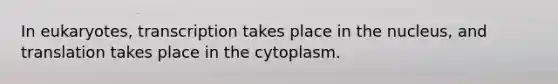 In eukaryotes, transcription takes place in the nucleus, and translation takes place in the cytoplasm.