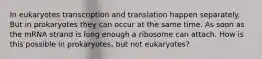 In eukaryotes transcription and translation happen separately. But in prokaryotes they can occur at the same time. As soon as the mRNA strand is long enough a ribosome can attach. How is this possible in prokaryotes, but not eukaryotes?