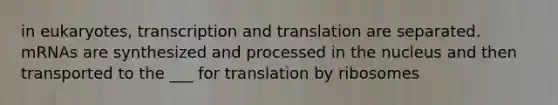 in eukaryotes, transcription and translation are separated. mRNAs are synthesized and processed in the nucleus and then transported to the ___ for translation by ribosomes