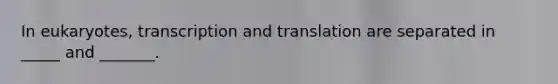 In eukaryotes, <a href='https://www.questionai.com/knowledge/kWsjwWywkN-transcription-and-translation' class='anchor-knowledge'>transcription and translation</a> are separated in _____ and _______.