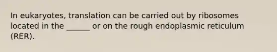 In eukaryotes, translation can be carried out by ribosomes located in the ______ or on the rough endoplasmic reticulum (RER).