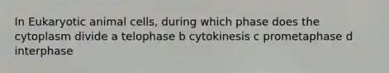 In Eukaryotic animal cells, during which phase does the cytoplasm divide a telophase b cytokinesis c prometaphase d interphase