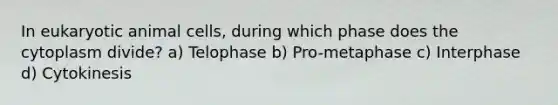 In eukaryotic animal cells, during which phase does the cytoplasm divide? a) Telophase b) Pro-metaphase c) Interphase d) Cytokinesis