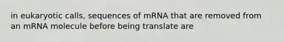 in eukaryotic calls, sequences of mRNA that are removed from an mRNA molecule before being translate are