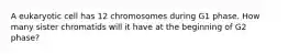 A eukaryotic cell has 12 chromosomes during G1 phase. How many sister chromatids will it have at the beginning of G2 phase?