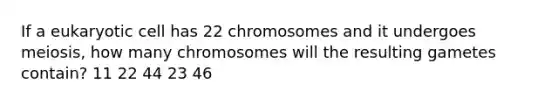 If a eukaryotic cell has 22 chromosomes and it undergoes meiosis, how many chromosomes will the resulting gametes contain? 11 22 44 23 46