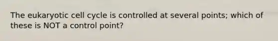 The eukaryotic cell cycle is controlled at several points; which of these is NOT a control point?