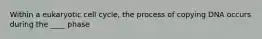 Within a eukaryotic cell cycle, the process of copying DNA occurs during the ____ phase