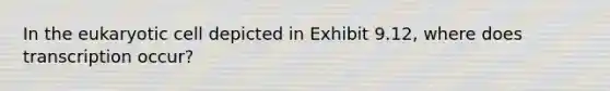 In the eukaryotic cell depicted in Exhibit 9.12, where does transcription occur?