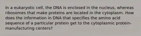 In a eukaryotic cell, the DNA is enclosed in the nucleus, whereas ribosomes that make proteins are located in the cytoplasm. How does the information in DNA that specifies the amino acid sequence of a particular protein get to the cytoplasmic protein-manufacturing centers?