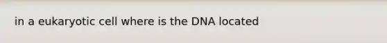 in a eukaryotic cell where is the DNA located