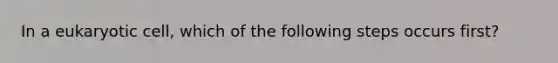 In a eukaryotic cell, which of the following steps occurs first?