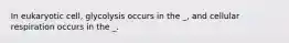 In eukaryotic cell, glycolysis occurs in the _, and cellular respiration occurs in the _.