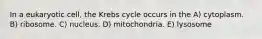 In a eukaryotic cell, the Krebs cycle occurs in the A) cytoplasm. B) ribosome. C) nucleus. D) mitochondria. E) lysosome