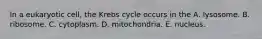 In a eukaryotic cell, the Krebs cycle occurs in the A. lysosome. B. ribosome. C. cytoplasm. D. mitochondria. E. nucleus.