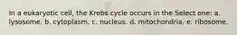 In a eukaryotic cell, the Krebs cycle occurs in the Select one: a. lysosome. b. cytoplasm. c. nucleus. d. mitochondria. e. ribosome.