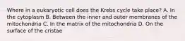 Where in a eukaryotic cell does the Krebs cycle take place? A. In the cytoplasm B. Between the inner and outer membranes of the mitochondria C. In the matrix of the mitochondria D. On the surface of the cristae