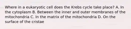 Where in a eukaryotic cell does the Krebs cycle take place? A. In the cytoplasm B. Between the inner and outer membranes of the mitochondria C. In the matrix of the mitochondria D. On the surface of the cristae