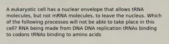 A eukaryotic cell has a nuclear envelope that allows tRNA molecules, but not mRNA molecules, to leave the nucleus. Which of the following processes will not be able to take place in this cell? RNA being made from DNA <a href='https://www.questionai.com/knowledge/kofV2VQU2J-dna-replication' class='anchor-knowledge'>dna replication</a> tRNAs binding to codons tRNAs binding to <a href='https://www.questionai.com/knowledge/k9gb720LCl-amino-acids' class='anchor-knowledge'>amino acids</a>