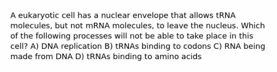 A eukaryotic cell has a nuclear envelope that allows tRNA molecules, but not mRNA molecules, to leave the nucleus. Which of the following processes will not be able to take place in this cell? A) DNA replication B) tRNAs binding to codons C) RNA being made from DNA D) tRNAs binding to amino acids